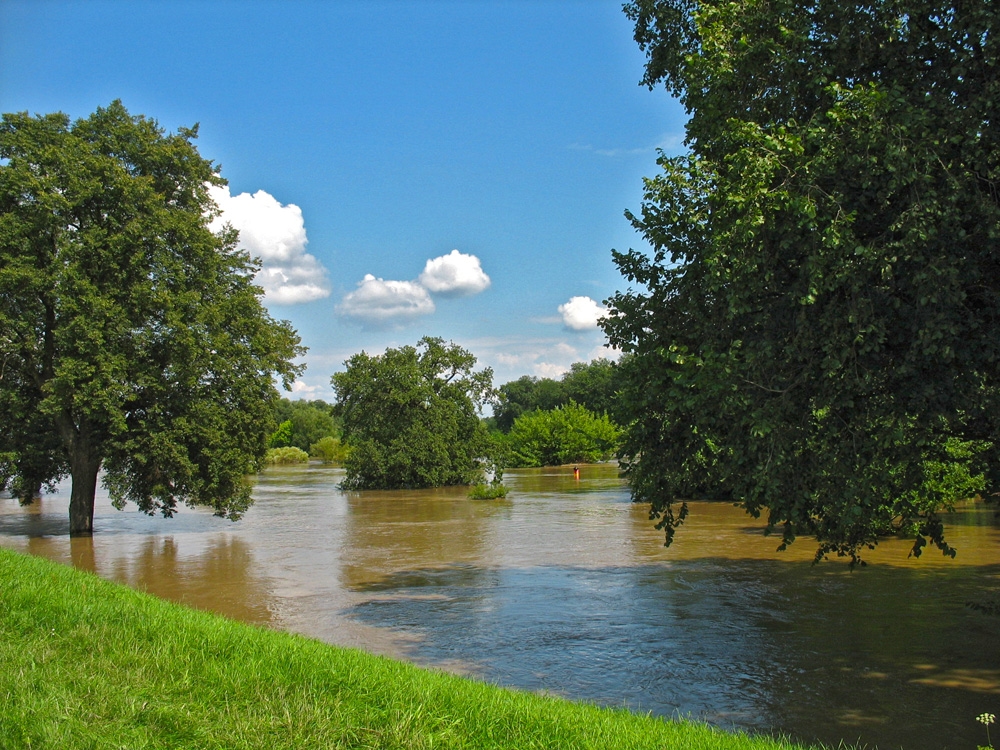 Neiße bei Guben, 10.08.2010