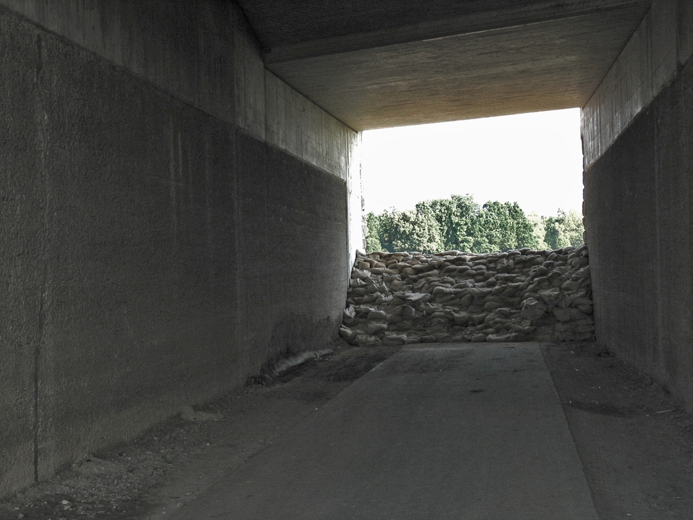 Radweg bei Bademeusel, 10.08.2010