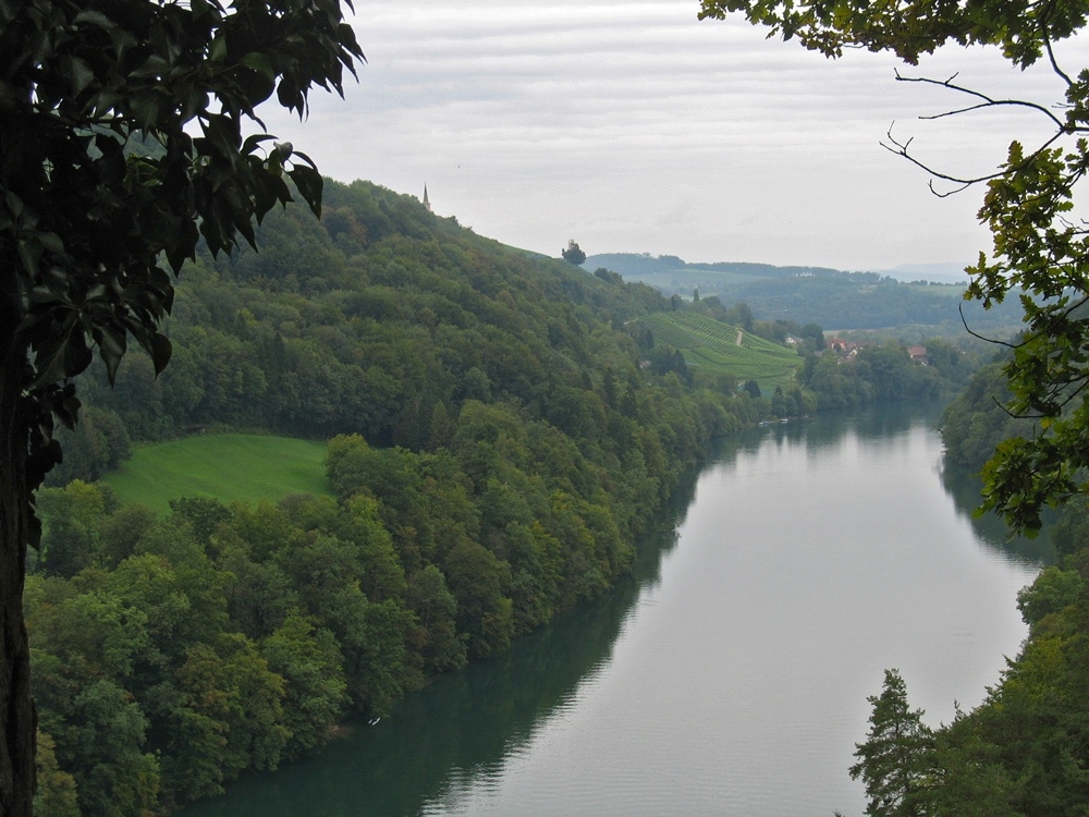 Rheinblick bei Teufen (CH)