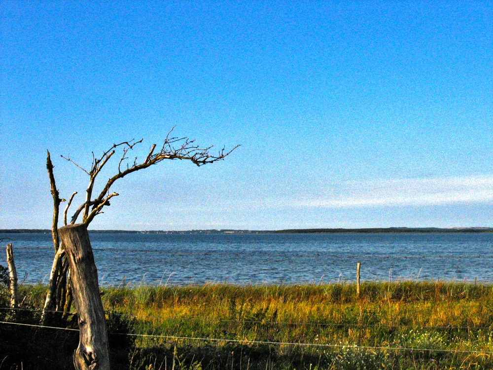 Blick auf die Insel Poel