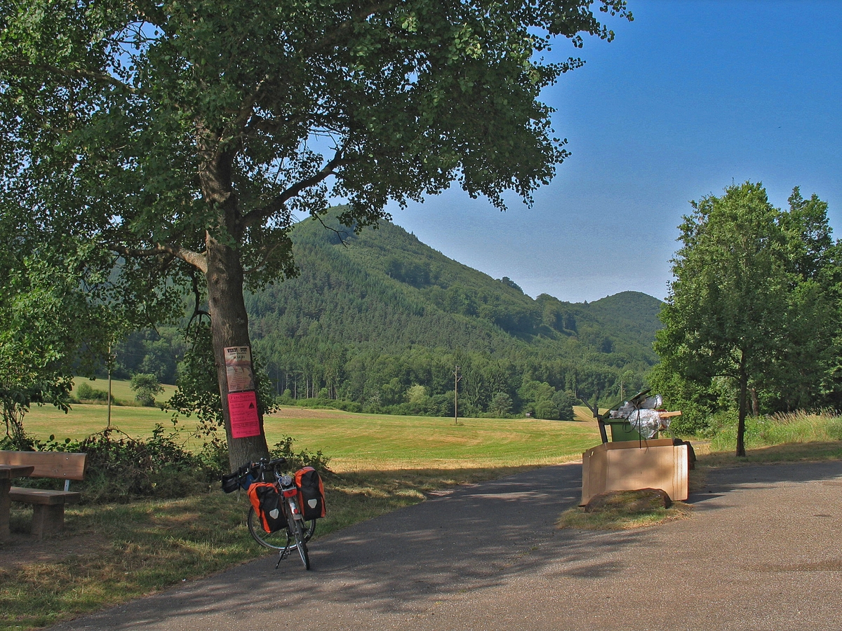 Naturpark Pfälzer Wald