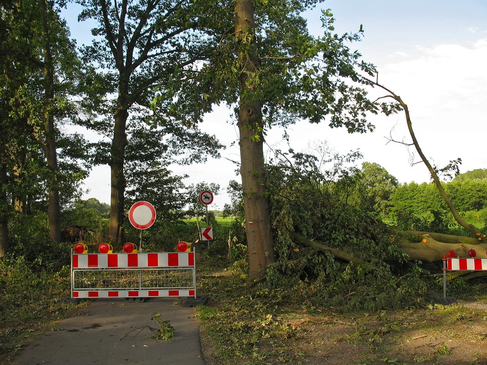 Radweg bei Barlo, nach einem Sturm
