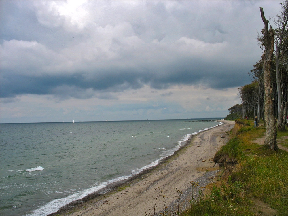 Nienhagen, Steilküste